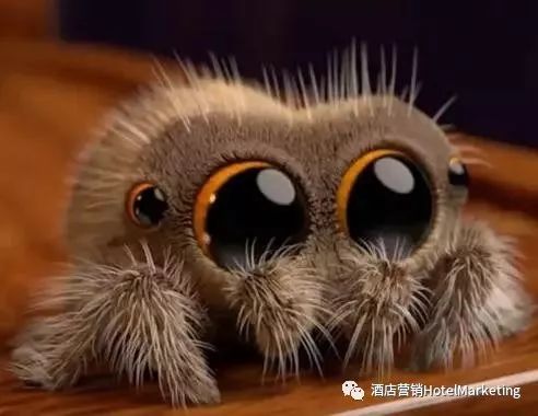 东升国际注册链接www